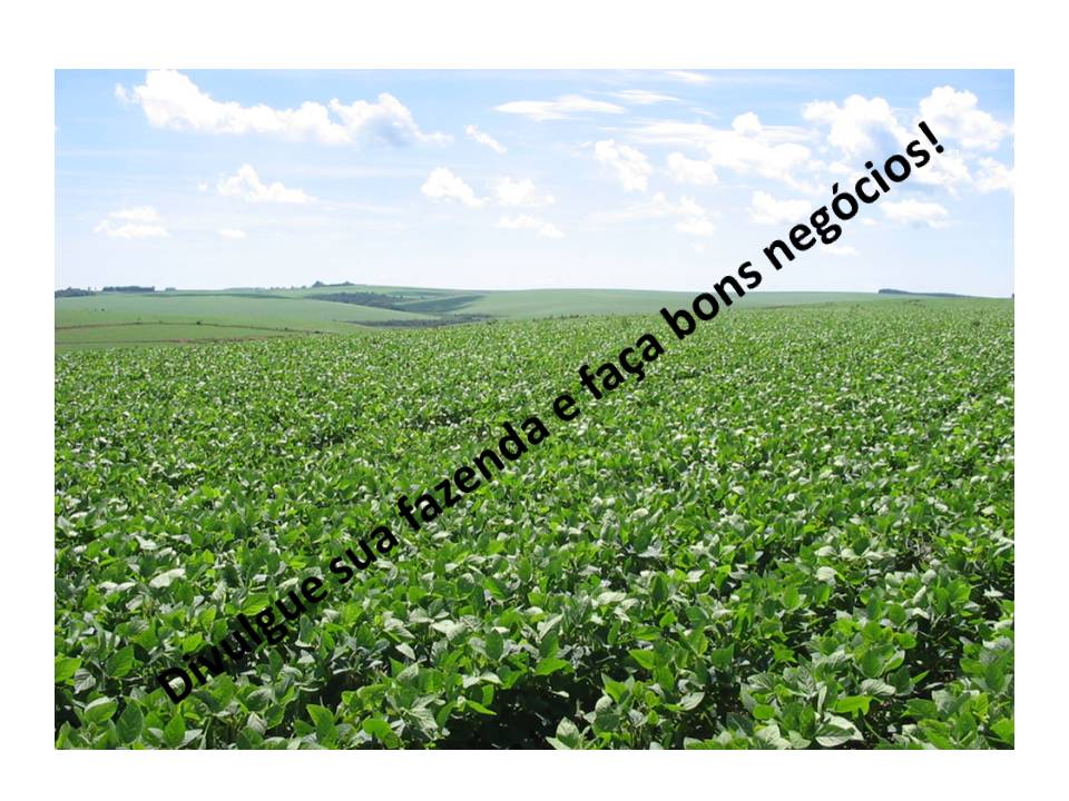  Venda - Paraná   Fazendas      Maringá - PR