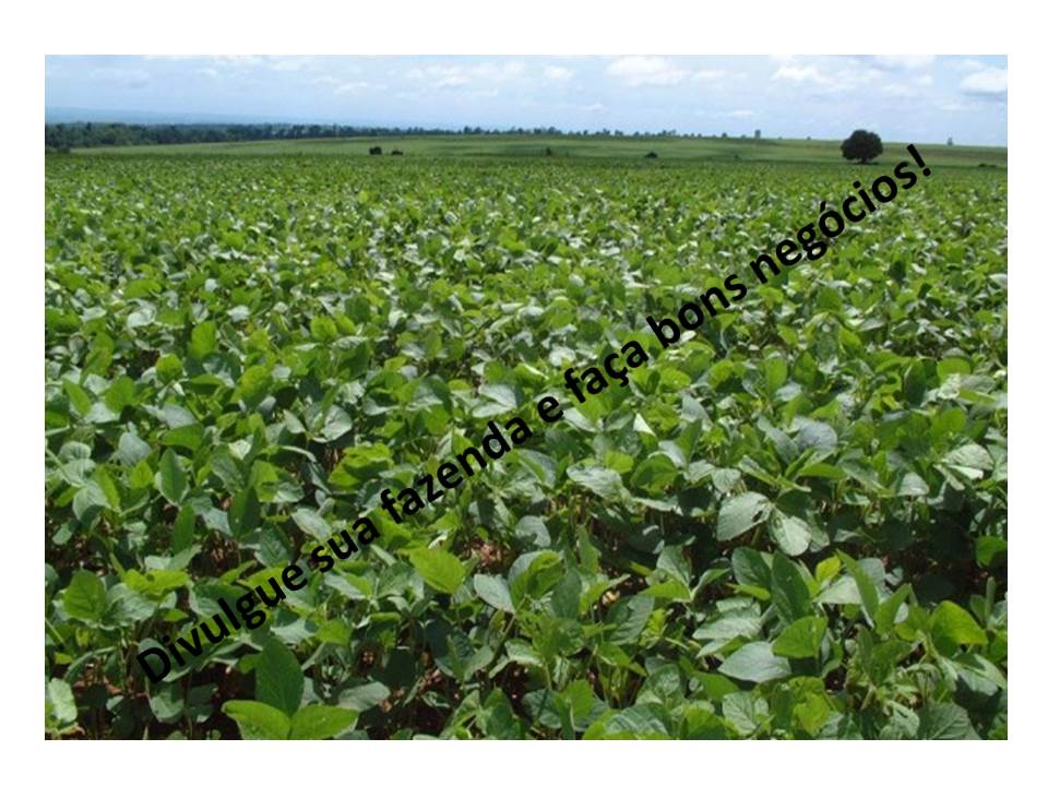 Venda - Mato Grosso Sul Fazendas Sidrolândia - MS Venda - Mato Grosso Sul Fazendas Sidrolândia - MS
