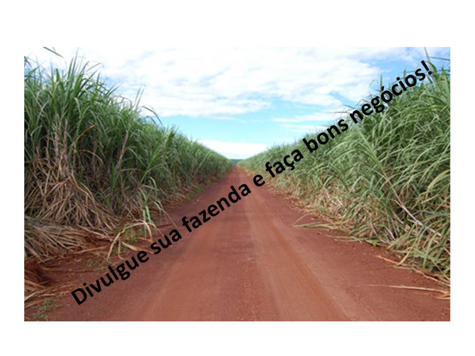 Venda - São Paulo Fazendas Araraquara - SP Venda - São Paulo Fazendas Araraquara - SP