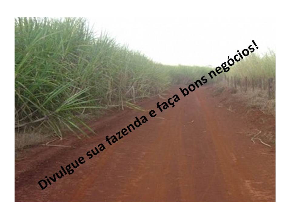 Venda - São Paulo Fazendas São José do Rio Preto - SP Venda - São Paulo Fazendas São José do Rio Preto - SP