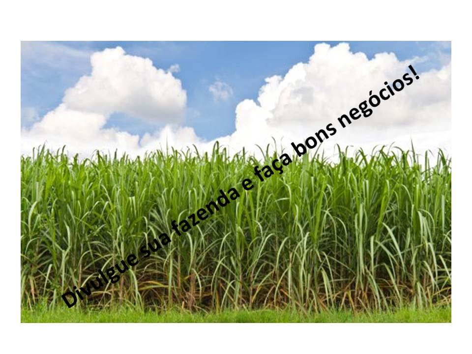 Venda - Minas Gerais Fazendas Ituiutaba - MG Venda - Minas Gerais Fazendas Ituiutaba - MG