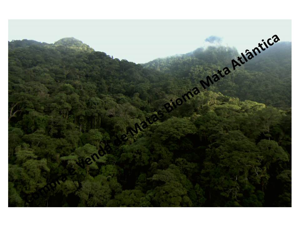  Venda - São Paulo  Áreas Reserva Legal Registro - SP