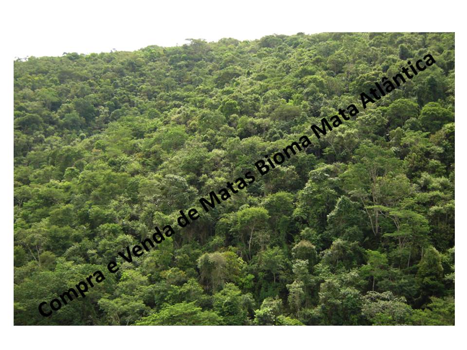  Venda - São Paulo  Áreas Reserva Legal Iguape - SP