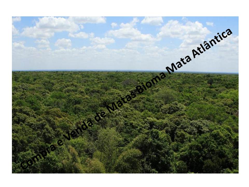  Venda - São Paulo  Áreas Reserva Legal Guapiara - SP