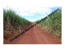  Venda - São Paulo   Fazendas Ribeirão Preto - SP