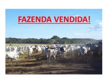  Venda - Mato Grosso   Fazendas  Barra do Garça - MT