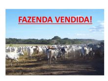  Venda - MT   Fazendas  Barra do Garça - MT