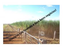  Venda - São Paulo   Fazendas Sertãozinho - SP