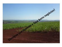  Venda - São Paulo   Fazendas Cristais Paulista - SP