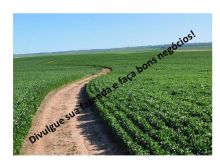 Venda - Mato Grosso   Fazendas  Sorriso - MT
