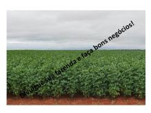  Venda - Mato Grosso   Fazendas  Rondonópolis - MT