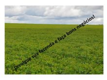  Venda - Goiás   Fazendas   Quirinópolis - GO