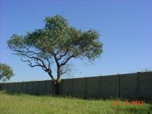  Venda - São Paulo  Áreas Loteamentos Bebedouro - SP