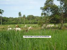  Venda - Mato Grosso Sul   Fazendas    Corumbá - MS