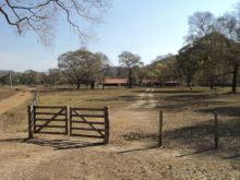  Venda - Mato Grosso Sul   Fazendas    Corumbá - MS