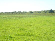  Venda - Mato Grosso Sul   Fazendas    Corumbá - MS