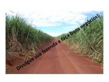  Venda - São Paulo   Fazendas Guariba - SP