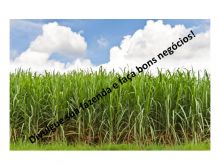  Venda - São Paulo   Fazendas São Joaquim da Barra - SP