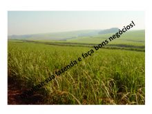  Venda - São Paulo   Fazendas Boa Esperança do Sul - SP