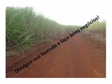  Venda - SP   Fazendas São José do Rio Preto - SP