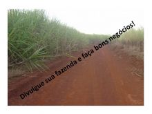  Venda - São Paulo   Fazendas São José do Rio Preto - SP