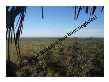  Venda - São Paulo  Áreas Reserva Legal Araçatuba - SP