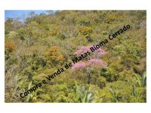  Venda - São Paulo  Áreas Reserva Legal Franca - SP