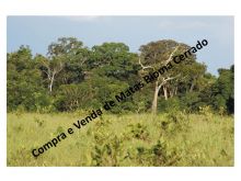  Venda - São Paulo  Áreas Reserva Legal Morro Agudo - SP