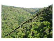  Venda - São Paulo  Áreas Reserva Legal Piedade - SP
