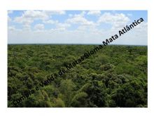  Venda - São Paulo  Áreas Reserva Legal Cananéia - SP