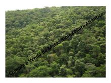  Venda - São Paulo  Áreas Reserva Legal Registro - SP