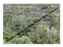  Venda - São Paulo  Áreas Reserva Legal Campos do Jordão - SP