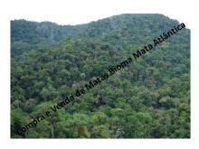  Venda - São Paulo  Áreas Reserva Legal Pilar do Sul - SP