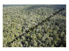  Venda - São Paulo  Áreas Reserva Legal Miracatu - SP
