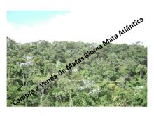  Venda - São Paulo  Áreas Reserva Legal Iporanga - SP