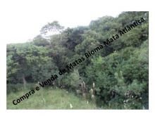  Venda - São Paulo  Áreas Reserva Legal Juquiá - SP