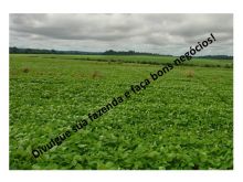  Venda - Goiás   Fazendas   Anápolis - GO