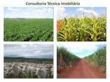  Consultoria   Consultoria Imobiliária    Corumbá - MS