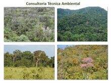  Consultoria   Consultoria Ambiental Araraquara - SP
