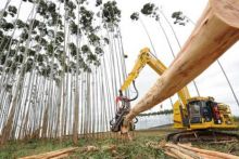  Consultoria   Consultoria Imobiliária       ESTADO - SP