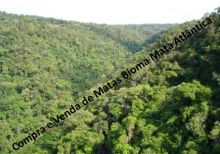  Venda - São Paulo  Áreas Reserva Legal Marília - SP