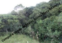  Venda - São Paulo  Áreas Reserva Legal São Manuel - SP