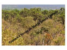  Venda - São Paulo  Áreas Reserva Legal Avaré - SP