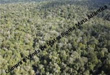  Venda - São Paulo  Áreas Reserva Legal Agudos - SP